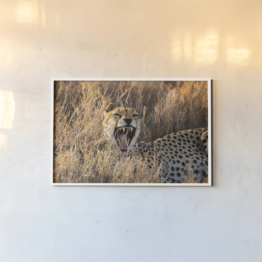 Big Yawn II by Max Blakesberg Studios. shown as a paper print in a white frame. Available as a archival giclee rolled canvas, fine art paper, or poster print. SKU 93613i.