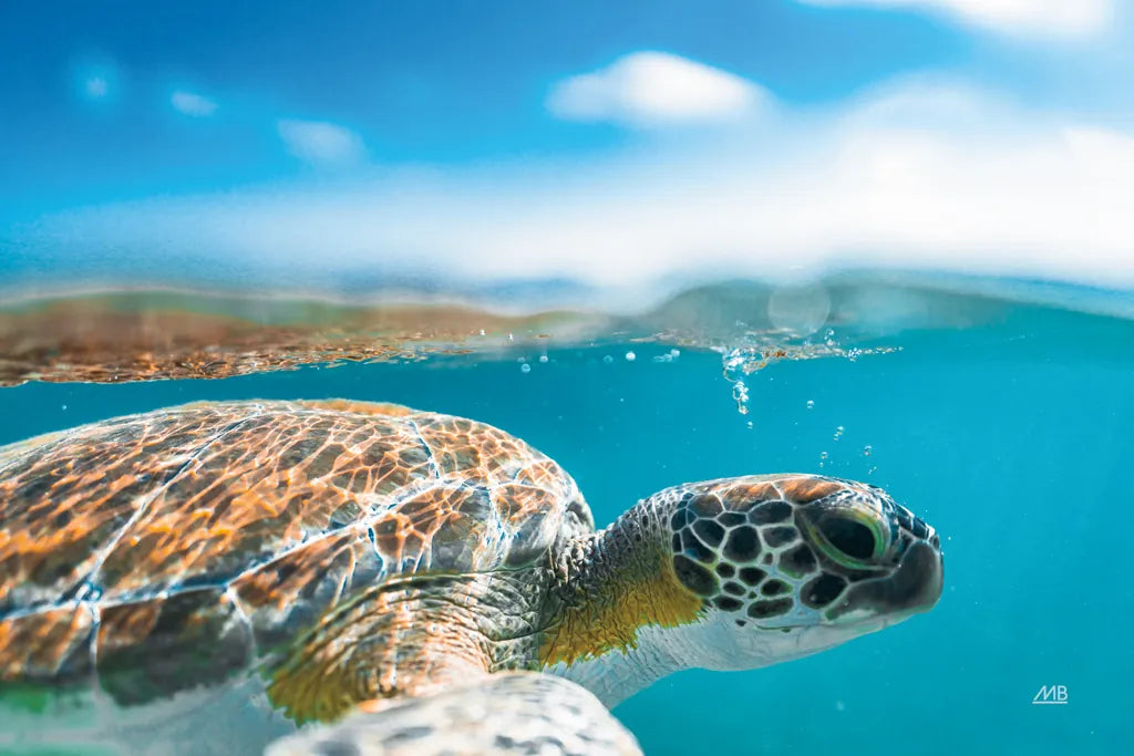 Blowing Bubbles by Max Blakesberg Studios. SKU 92805i. Archival Giclee Fine art print for wall decor.