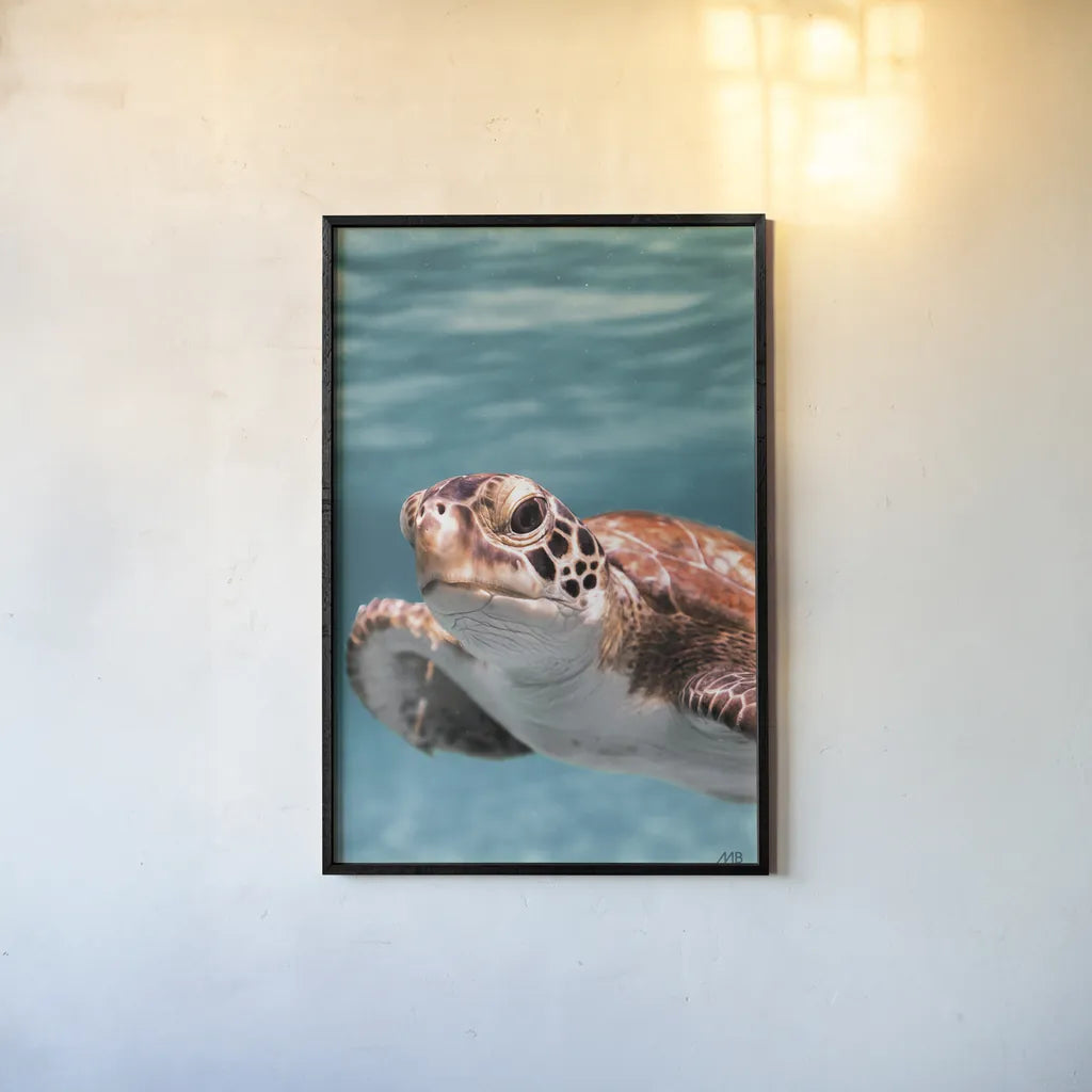 Close Up by Max Blakesberg Studios. shown as a paper print in a black flame. Available as a archival giclee rolled canvas, fine art paper, or poster print. SKU 90882h.