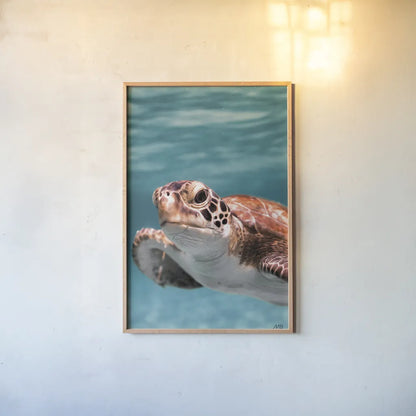 Close Up by Max Blakesberg Studios. shown as a paper print in a natural frame. Available as a archival giclee rolled canvas, fine art paper, or poster print. SKU 90882h.