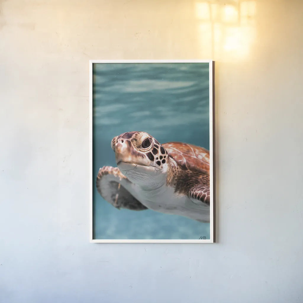 Close Up by Max Blakesberg Studios. shown as a paper print in a white frame. Available as a archival giclee rolled canvas, fine art paper, or poster print. SKU 90882h.