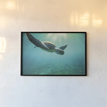 Dive by Max Blakesberg Studios. shown as a paper print in a black flame. Available as a archival giclee rolled canvas, fine art paper, or poster print. SKU 92806i.