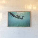 Dive by Max Blakesberg Studios. shown as a paper print in a natural frame. Available as a archival giclee rolled canvas, fine art paper, or poster print. SKU 92806i.