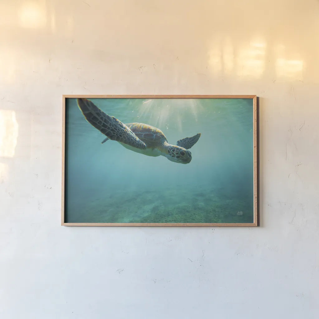 Dive by Max Blakesberg Studios. shown as a paper print in a natural frame. Available as a archival giclee rolled canvas, fine art paper, or poster print. SKU 92806i.