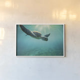 Dive by Max Blakesberg Studios. shown as a paper print in a white frame. Available as a archival giclee rolled canvas, fine art paper, or poster print. SKU 92806i.