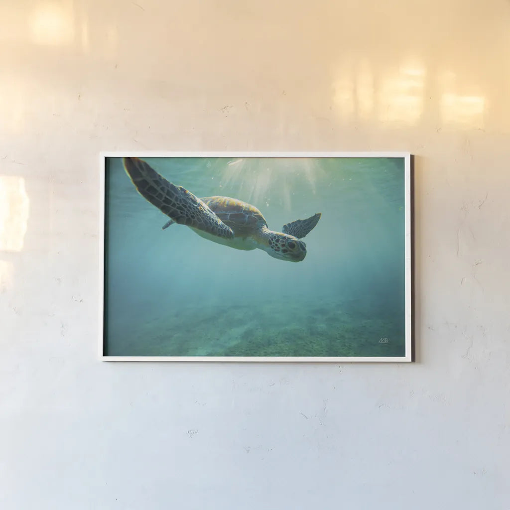 Dive by Max Blakesberg Studios. shown as a paper print in a white frame. Available as a archival giclee rolled canvas, fine art paper, or poster print. SKU 92806i.