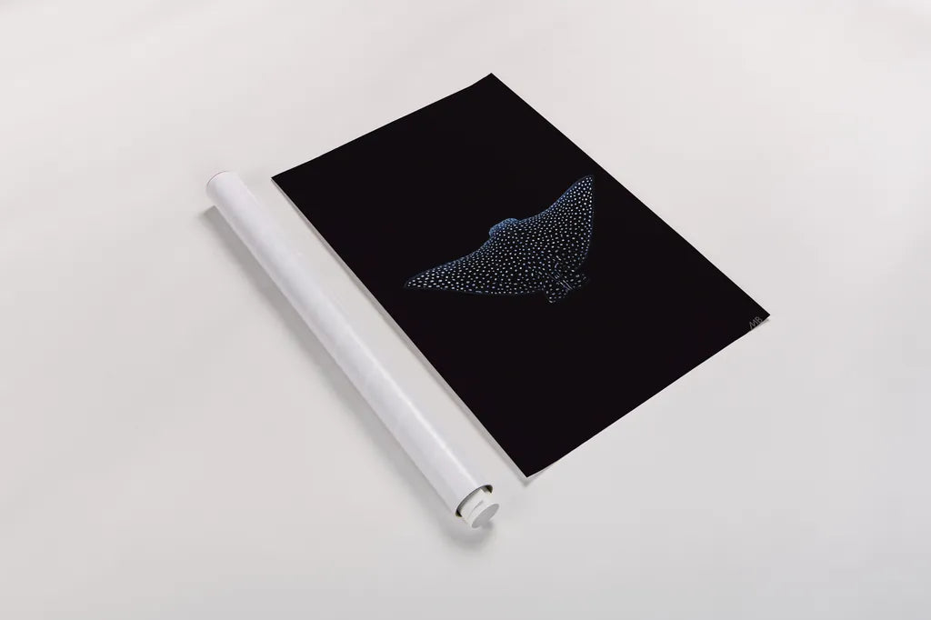 Eagle Ray Dark by Max Blakesberg Studios. shown as a rolled paper print. Available as archival giclee rolled canvas, fine art paper, or poster print. SKU 90982h.
