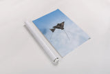 Eagle Ray Duo by Max Blakesberg Studios. shown as a rolled paper print. Available as archival giclee rolled canvas, fine art paper, or poster print. SKU 90846h.