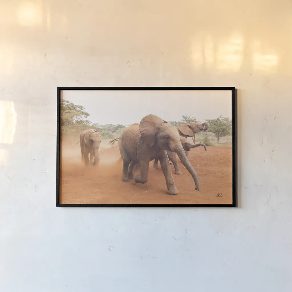Elephant Race by Max Blakesberg Studios. shown as a paper print in a black flame. Available as a archival giclee rolled canvas, fine art paper, or poster print. SKU 93614i.
