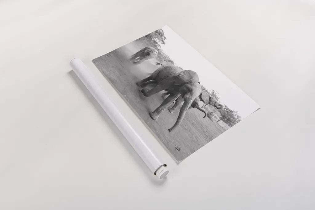 Elephant Race BW by Max Blakesberg Studios. shown as a rolled paper print. Available as archival giclee rolled canvas, fine art paper, or poster print. SKU 93615i.