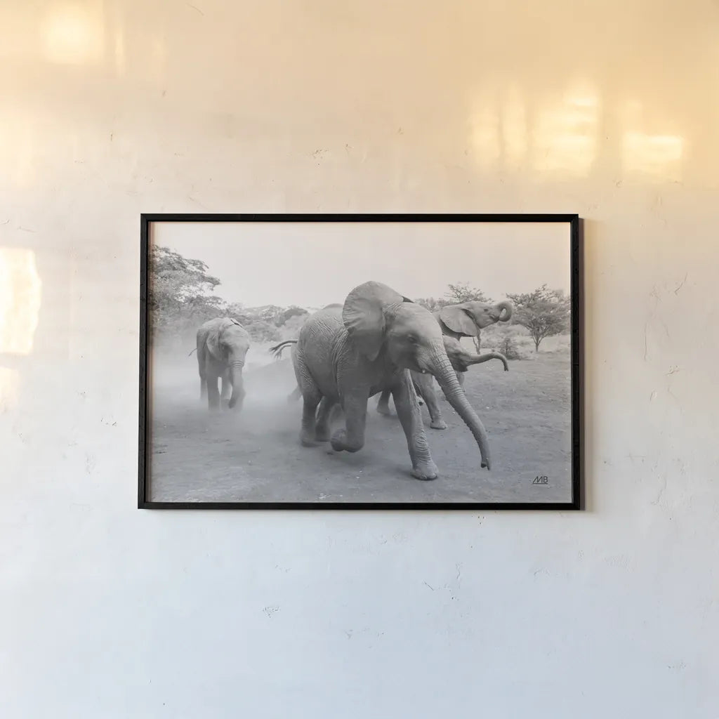 Elephant Race BW by Max Blakesberg Studios. shown as a paper print in a black flame. Available as a archival giclee rolled canvas, fine art paper, or poster print. SKU 93615i.