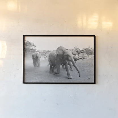 Elephant Race BW by Max Blakesberg Studios. shown as a paper print in a black flame. Available as a archival giclee rolled canvas, fine art paper, or poster print. SKU 93615i.
