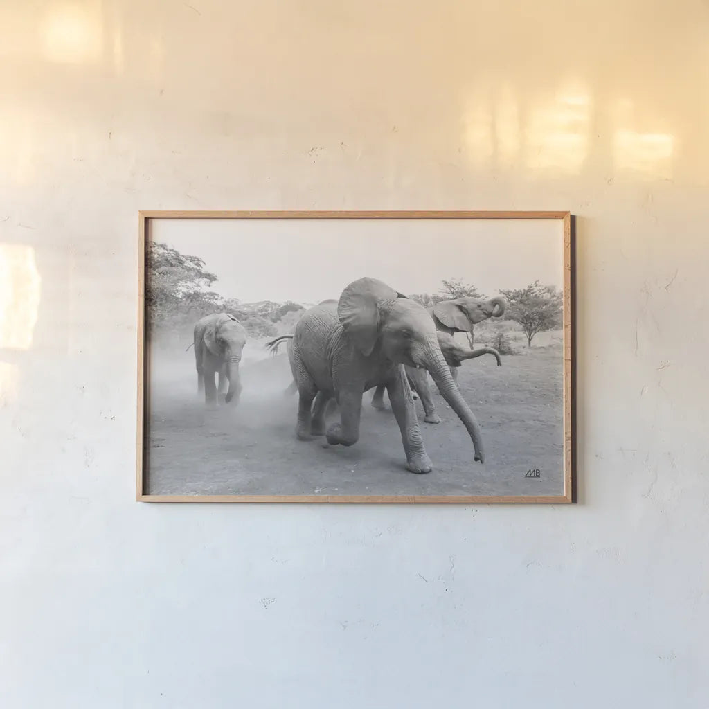 Elephant Race BW by Max Blakesberg Studios. shown as a paper print in a natural frame. Available as a archival giclee rolled canvas, fine art paper, or poster print. SKU 93615i.