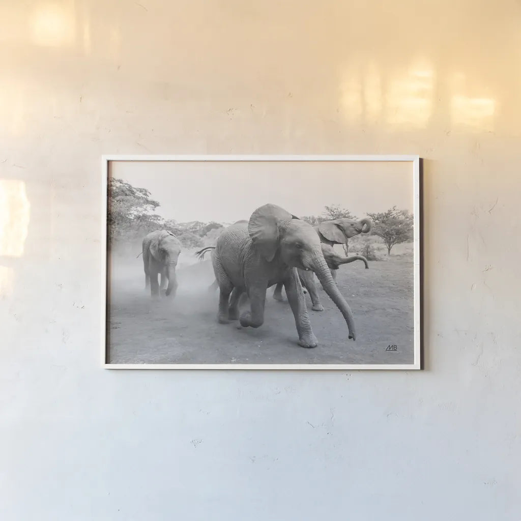 Elephant Race BW by Max Blakesberg Studios. shown as a paper print in a white frame. Available as a archival giclee rolled canvas, fine art paper, or poster print. SKU 93615i.