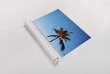 Evening Palm by Max Blakesberg Studios. shown as a rolled paper print. Available as archival giclee rolled canvas, fine art paper, or poster print. SKU 103354i.