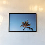 Evening Palm by Max Blakesberg Studios. shown as a paper print in a black flame. Available as a archival giclee rolled canvas, fine art paper, or poster print. SKU 103354i.