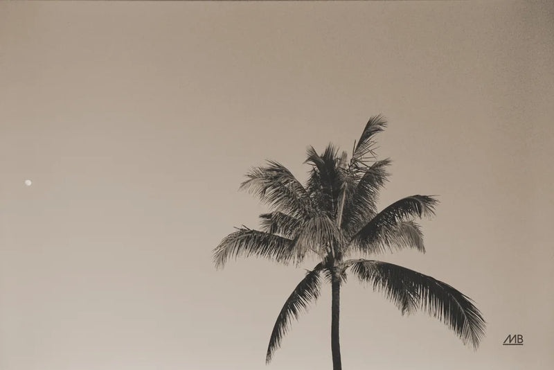 Evening Palm Sepia by Max Blakesberg Studios. SKU 103355i. Archival Giclee Fine art print for wall decor.