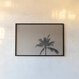 Evening Palm Sepia by Max Blakesberg Studios. shown as a paper print in a black flame. Available as a archival giclee rolled canvas, fine art paper, or poster print. SKU 103355i.