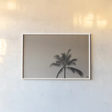 Evening Palm Sepia by Max Blakesberg Studios. shown as a paper print in a white frame. Available as a archival giclee rolled canvas, fine art paper, or poster print. SKU 103355i.