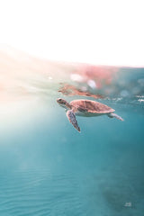 Float On by Max Blakesberg Studios. SKU 92682h. Archival Giclee Fine art print for wall decor.