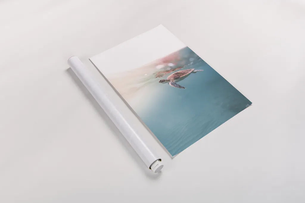 Float On by Max Blakesberg Studios. shown as a rolled paper print. Available as archival giclee rolled canvas, fine art paper, or poster print. SKU 92682h.