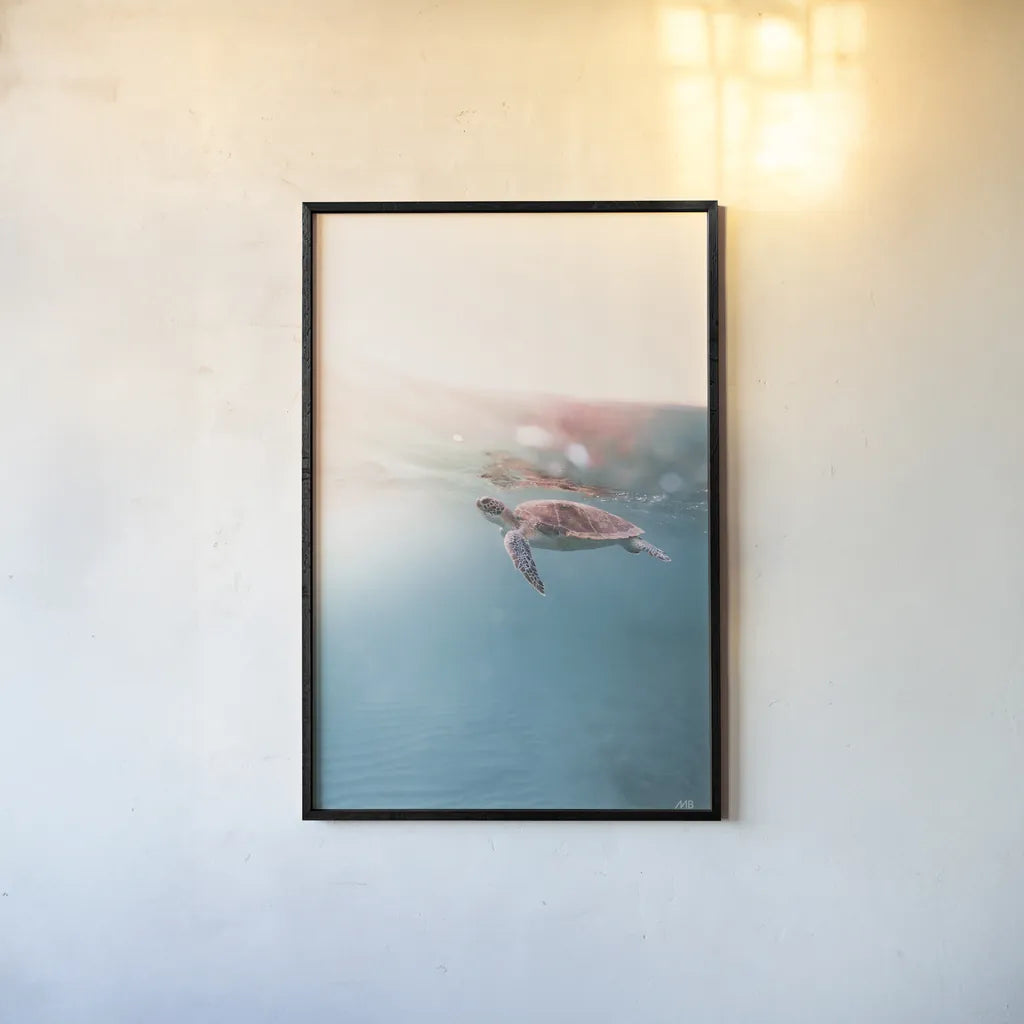 Float On by Max Blakesberg Studios. shown as a paper print in a black flame. Available as a archival giclee rolled canvas, fine art paper, or poster print. SKU 92682h.