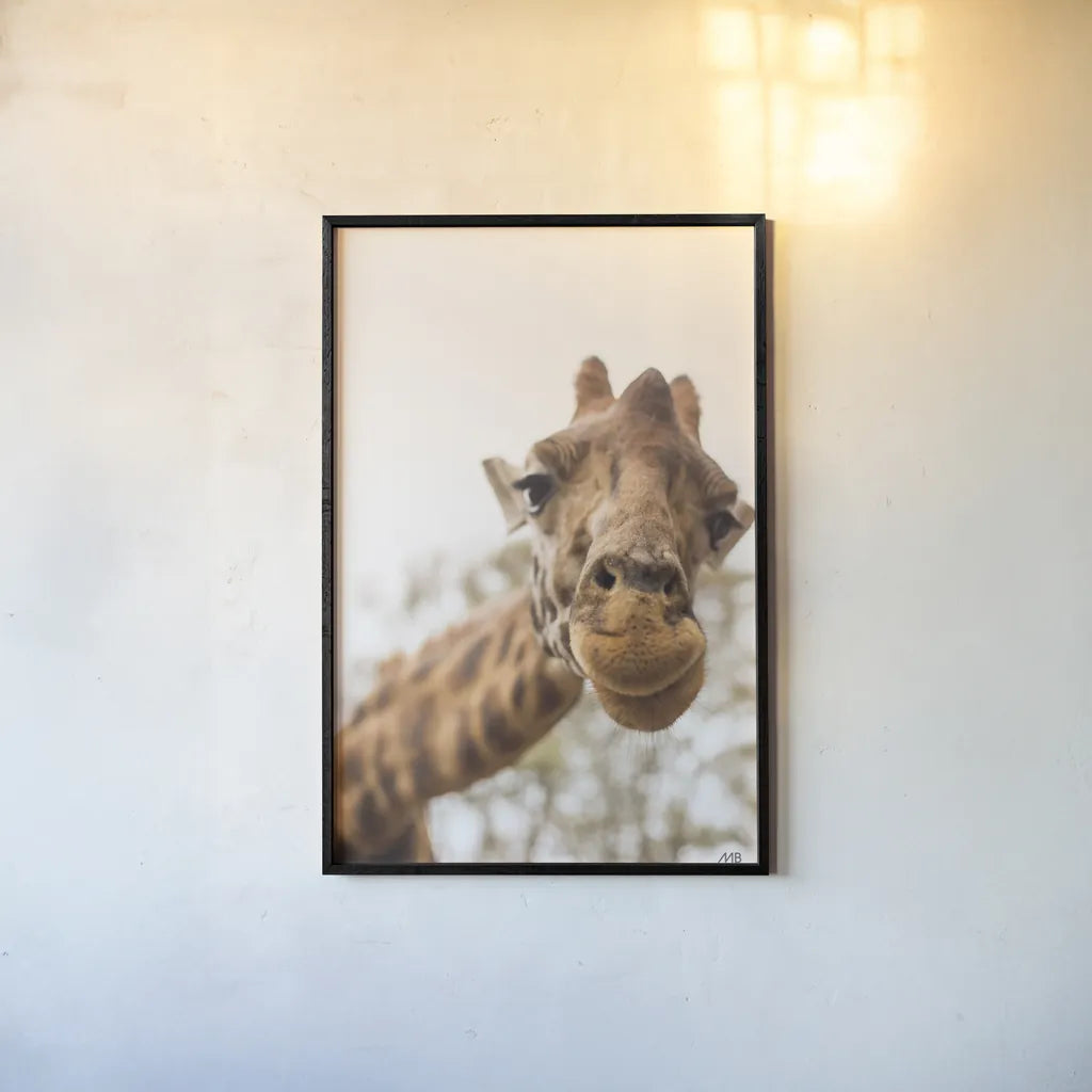 Funny Face I by Max Blakesberg Studios. shown as a paper print in a black flame. Available as a archival giclee rolled canvas, fine art paper, or poster print. SKU 93616h.