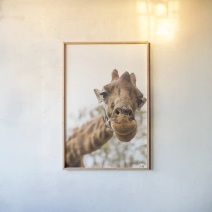 Funny Face I by Max Blakesberg Studios. shown as a paper print in a natural frame. Available as a archival giclee rolled canvas, fine art paper, or poster print. SKU 93616h.