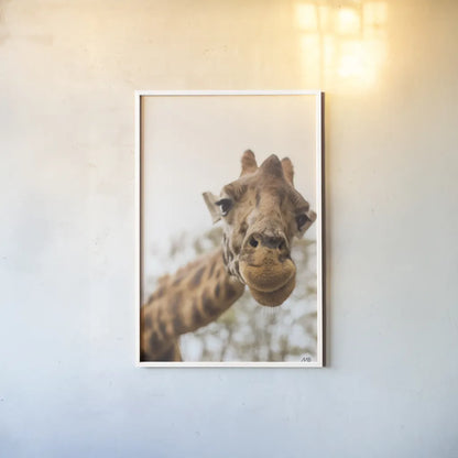 Funny Face I by Max Blakesberg Studios. shown as a paper print in a white frame. Available as a archival giclee rolled canvas, fine art paper, or poster print. SKU 93616h.