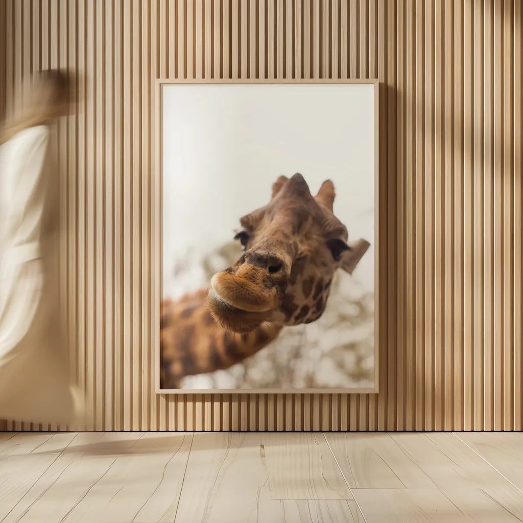 Funny Face II by Max Blakesberg Studios. shown as over sized large wall art. Available as an archival giclee rolled canvas, fine art paper, or poster print. SKU 93617h.