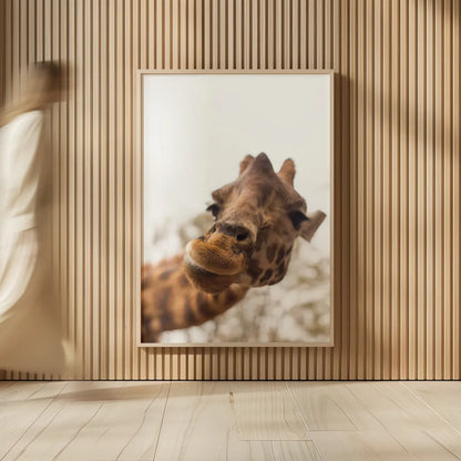Funny Face II by Max Blakesberg Studios. shown as over sized large wall art. Available as an archival giclee rolled canvas, fine art paper, or poster print. SKU 93617h.