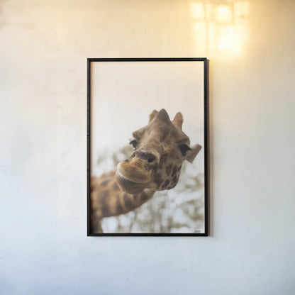 Funny Face II by Max Blakesberg Studios. shown as a paper print in a black flame. Available as a archival giclee rolled canvas, fine art paper, or poster print. SKU 93617h.