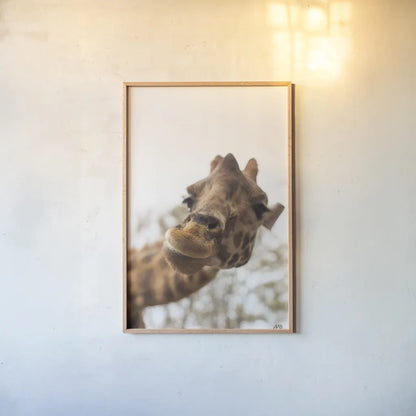 Funny Face II by Max Blakesberg Studios. shown as a paper print in a natural frame. Available as a archival giclee rolled canvas, fine art paper, or poster print. SKU 93617h.