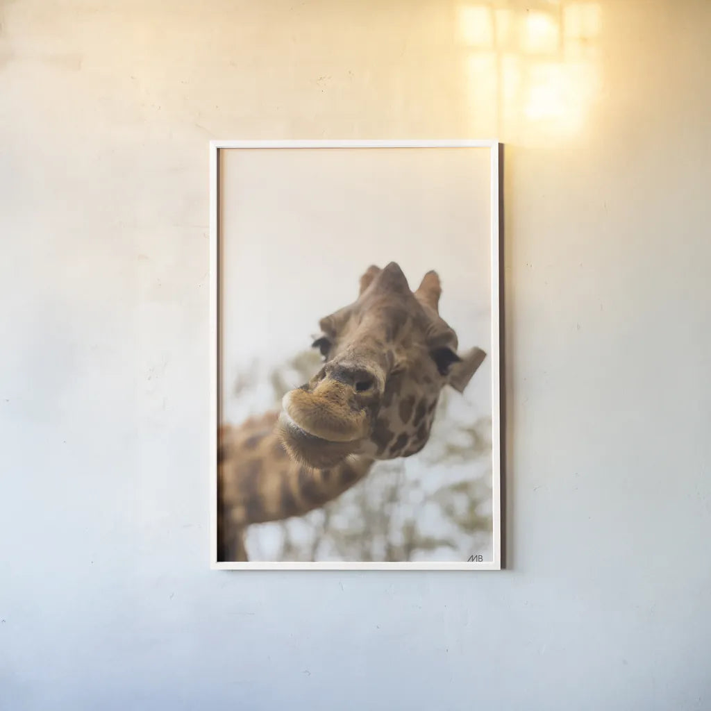 Funny Face II by Max Blakesberg Studios. shown as a paper print in a white frame. Available as a archival giclee rolled canvas, fine art paper, or poster print. SKU 93617h.