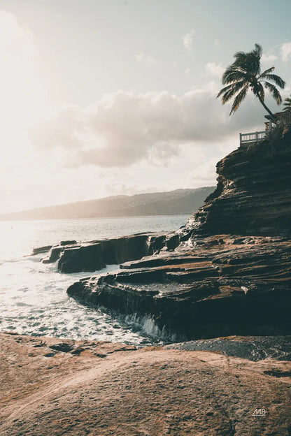 Happy in Hawaii by Max Blakesberg Studios. SKU 95340h. Archival Giclee Fine art print for wall decor.