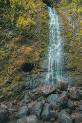 Hawaiian Hideaway by Max Blakesberg Studios. SKU 91393h. Archival Giclee Fine art print for wall decor.