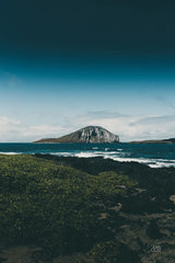 Hawaiian Mood by Max Blakesberg Studios. SKU 90886h. Archival Giclee Fine art print for wall decor.