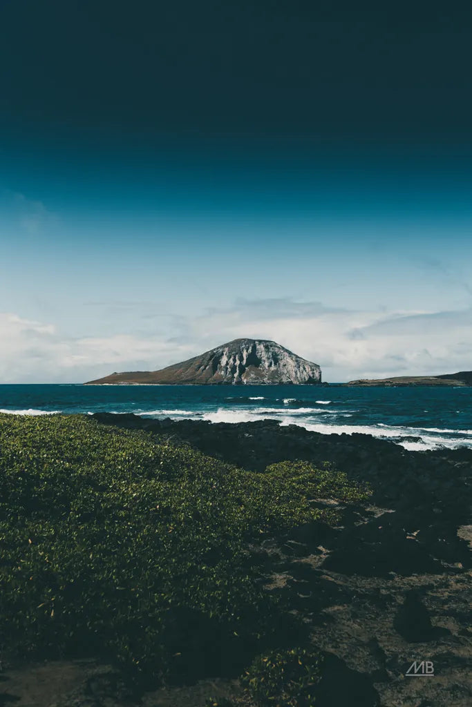 Hawaiian Mood by Max Blakesberg Studios. SKU 90886h. Archival Giclee Fine art print for wall decor.