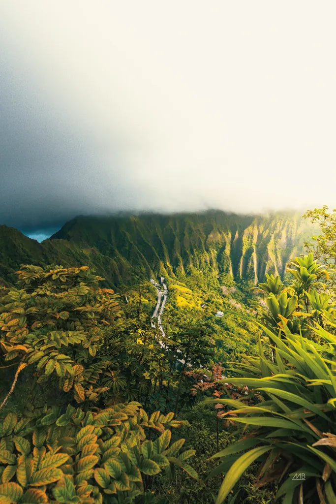 Hawaiian Tropics by Max Blakesberg Studios. SKU 91847h. Archival Giclee Fine art print for wall decor.