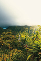 Hawaiian Tropics by Max Blakesberg Studios. SKU 91847h. Archival Giclee Fine art print for wall decor.