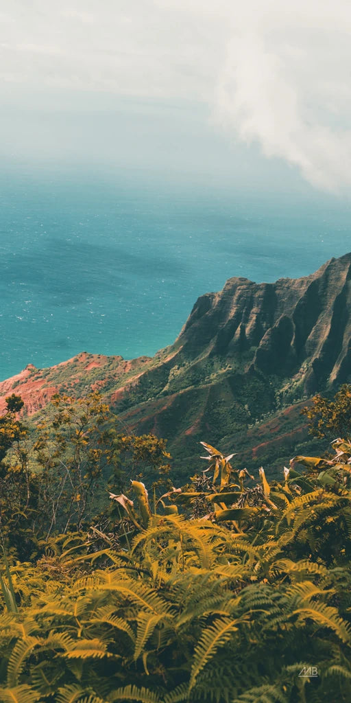 Hawaiian View by Max Blakesberg Studios