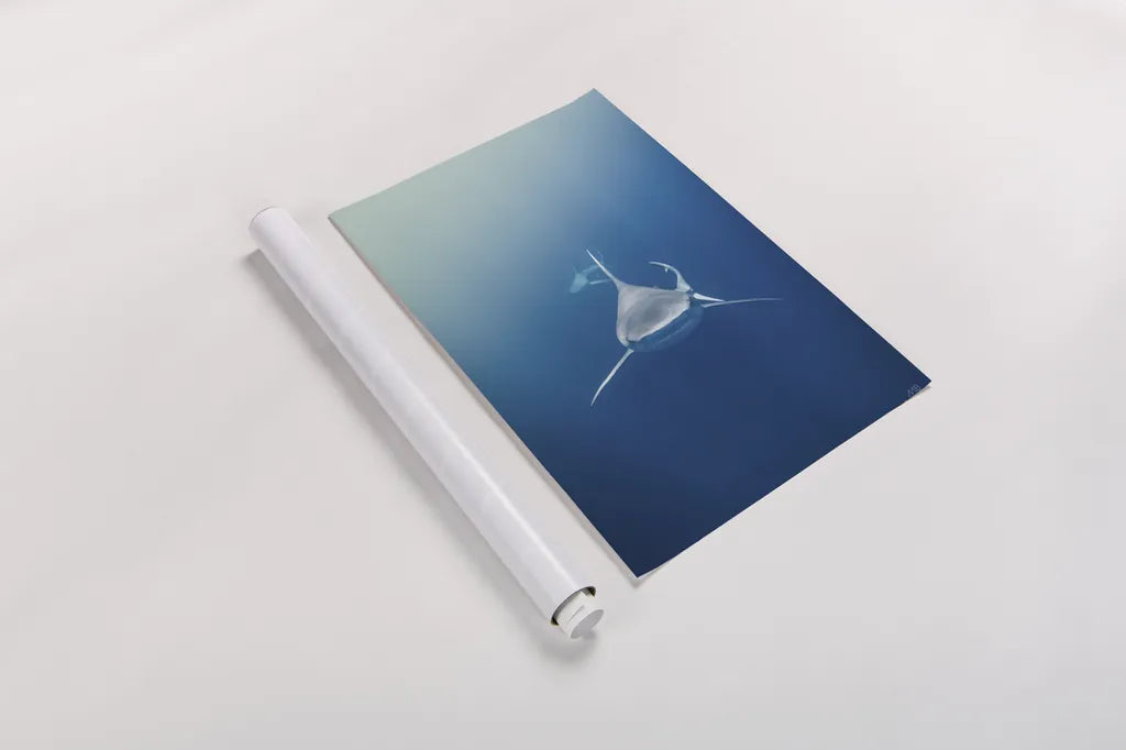 Heads Up by Max Blakesberg Studios. shown as a rolled paper print. Available as archival giclee rolled canvas, fine art paper, or poster print. SKU 91386h.