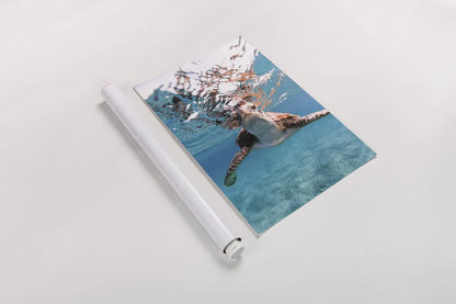 Hello Sea Turtle by Max Blakesberg Studios. shown as a rolled paper print. Available as archival giclee rolled canvas, fine art paper, or poster print. SKU 90847h.