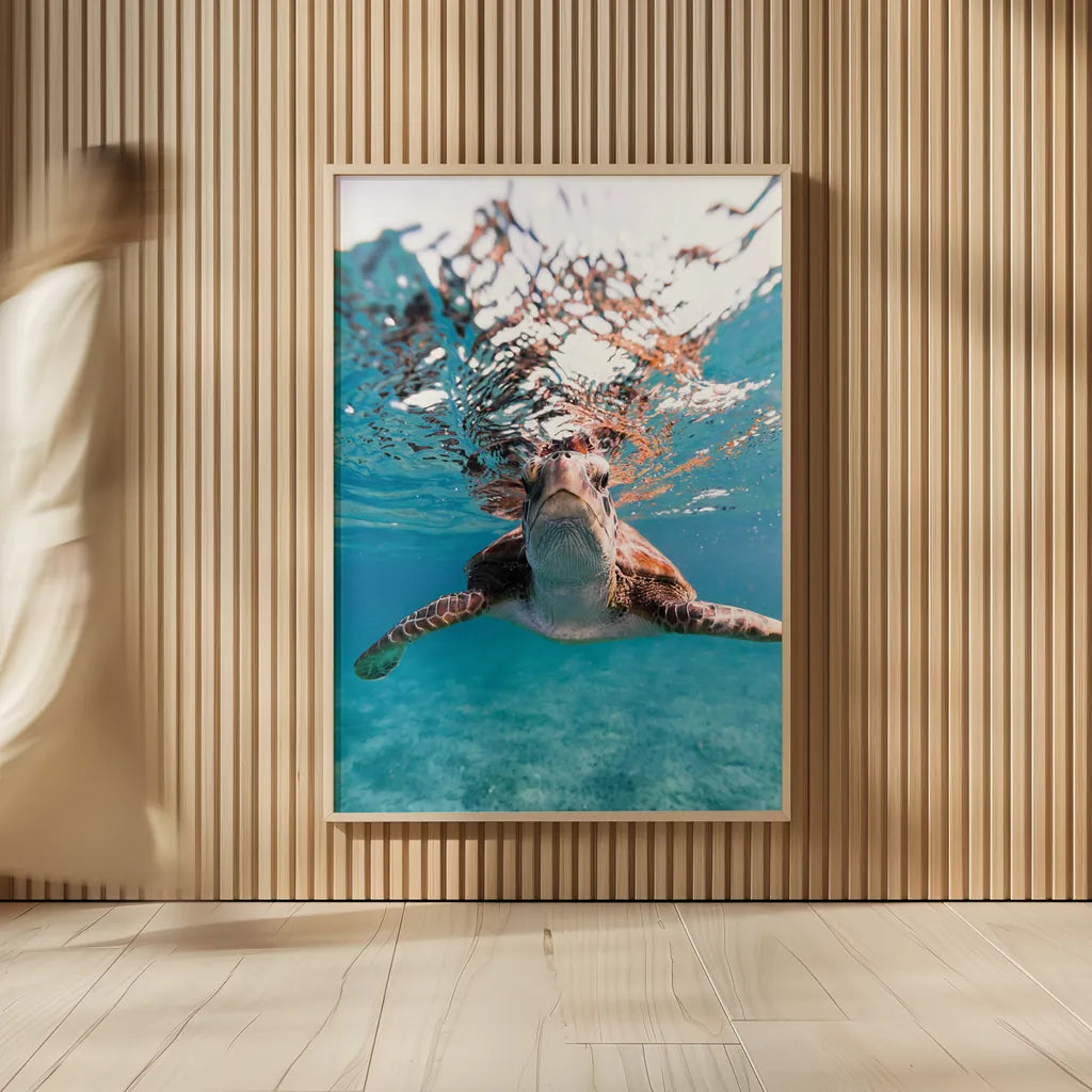Hello Sea Turtle by Max Blakesberg Studios. shown as over sized large wall art. Available as an archival giclee rolled canvas, fine art paper, or poster print. SKU 90847h.