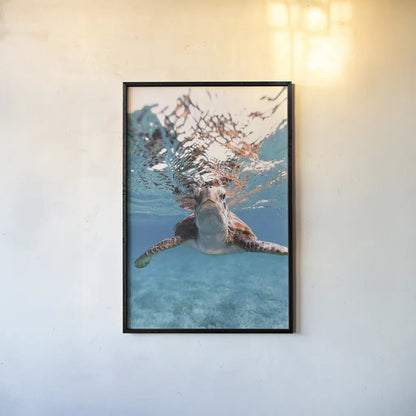 Hello Sea Turtle by Max Blakesberg Studios. shown as a paper print in a black flame. Available as a archival giclee rolled canvas, fine art paper, or poster print. SKU 90847h.