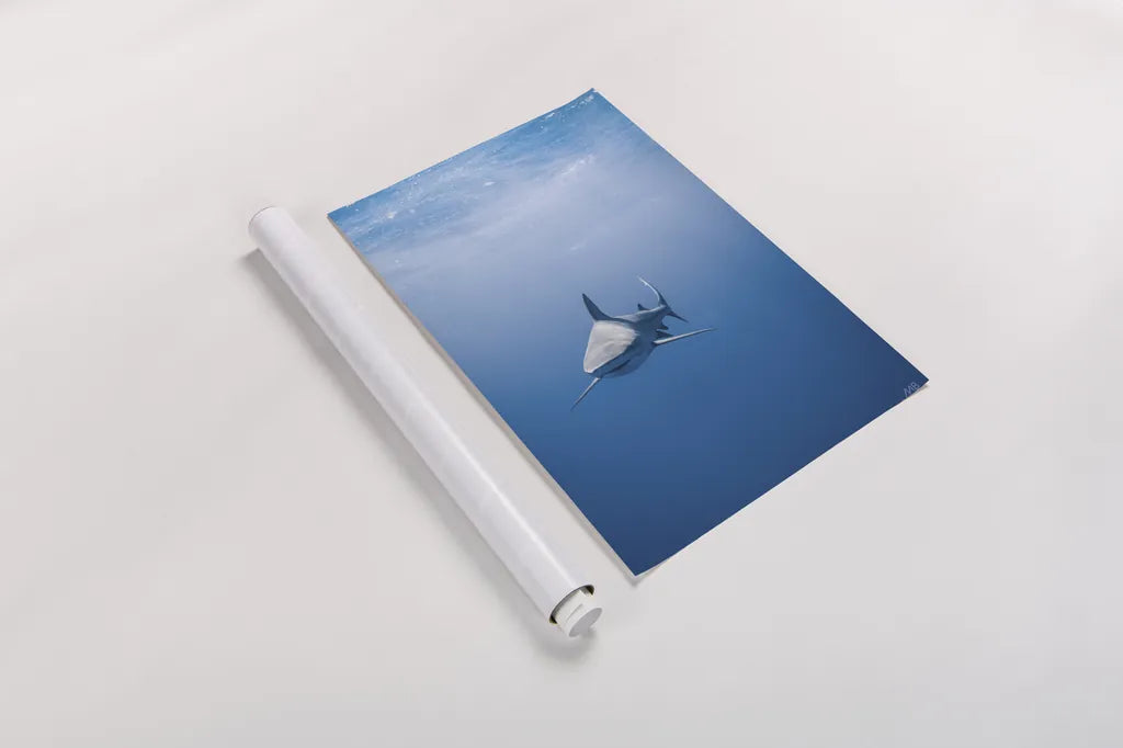 Hunter by Max Blakesberg Studios. shown as a rolled paper print. Available as archival giclee rolled canvas, fine art paper, or poster print. SKU 92617h.