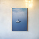 Hunter by Max Blakesberg Studios. shown as a paper print in a natural frame. Available as a archival giclee rolled canvas, fine art paper, or poster print. SKU 92617h.