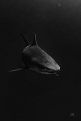 In the Depths by Max Blakesberg Studios. SKU 92696h. Archival Giclee Fine art print for wall decor.