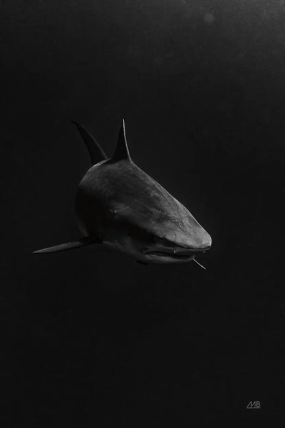 In the Depths by Max Blakesberg Studios. SKU 92696h. Archival Giclee Fine art print for wall decor.