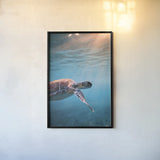 Just Keep Swimming by Max Blakesberg Studios. shown as a paper print in a black flame. Available as a archival giclee rolled canvas, fine art paper, or poster print. SKU 92683h.